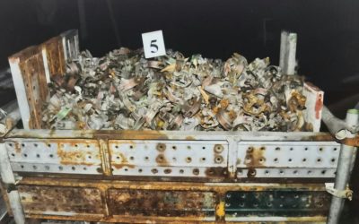 SUSPEK CURI PEKERJA SYARIKAT