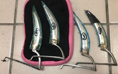 PPDB SERBU GELANGGANG SABUNG AYAM