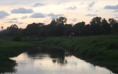 LAPORAN KES ORANG DISERANG BUAYA