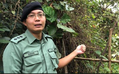 PERCUBAAN MENYELUDUP BERJAYA DIPATAHKAN