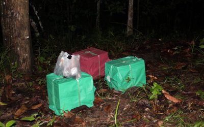 PERCUBAAN SELUDUP GAGAL