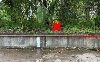 PENEMUAN BAYI LELAKI