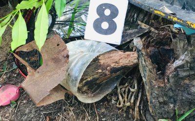 SERBUAN KEGIATAN CURI GAHARU