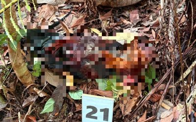 PPDB BERKAS 02 ORANG LELAKI DI GELANGGANG SABUNG AYAM