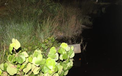 OPERASI POLIS HUTAN MERAMPAS BARANG-BARANG DITEGAH