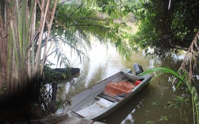 OPERASI POLIS HUTAN (POLTAN) DI SEMPADAN TEMBURONG