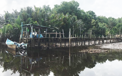 LAPORAN KES ORANG DISERANG BUAYA