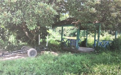 POLIS BERJAYA SELESAIKAN KES KECURIAN PERAHU