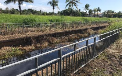 AMBIL LANGKAH WASPADA – SERANGAN BUAYA