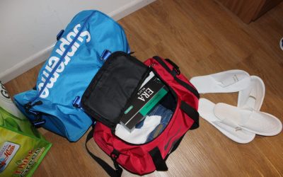 PERTIKAI DAN PERSENDA ARAHAN KERAJAAN