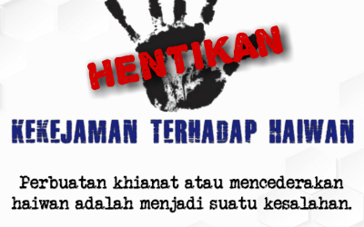 PUKUL HAIWAN VIDEO TULAR