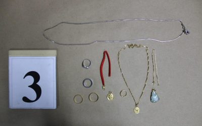 PEMERIKSAAN RAMBANG BERJAYA SELESAIKAN KES CURI