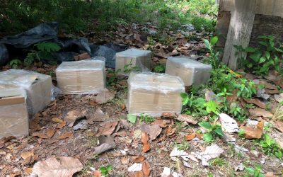 CUBAAN SELUDUP GAGAL