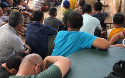 PPDB BERKAS 42 LELAKI DI GELANGGANG SABUNG AYAM