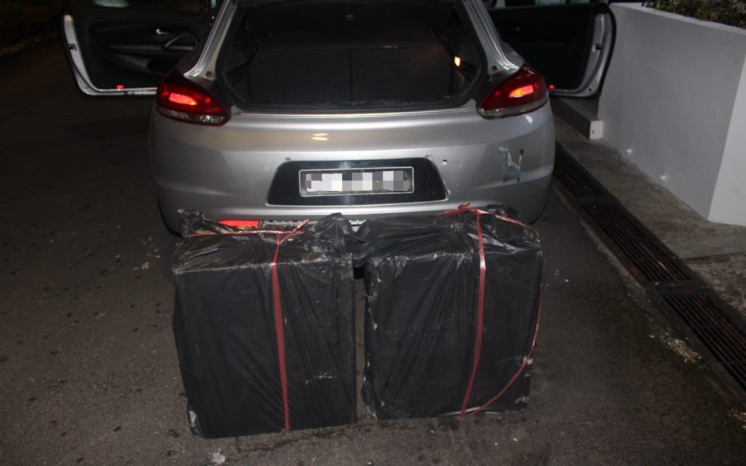 PEMANDU DIBERKAS BAWA BARANG TEGAHAN