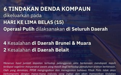 OPERASI PULIH