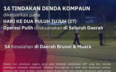 OPERASI PULIH
