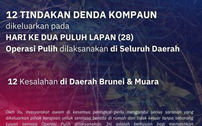 OPERASI PULIH