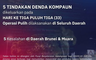 OPERASI PULIH