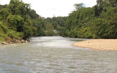 DIPERCAYAI HILANG SEMASA BERENANG