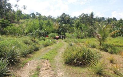 PENCARIAN ORANG HILANG DITEMUKAN