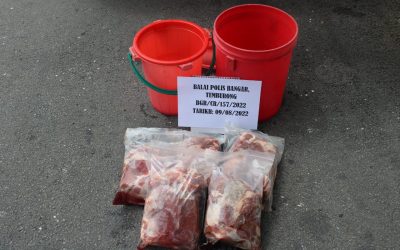 PEMANTAUAN PENCEGAHAN JENAYAH MEMBUAHKAN HASIL