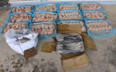 INDIVIDU DITAHAN BAWA BARANGAN TIDAK DIISYTIHAR